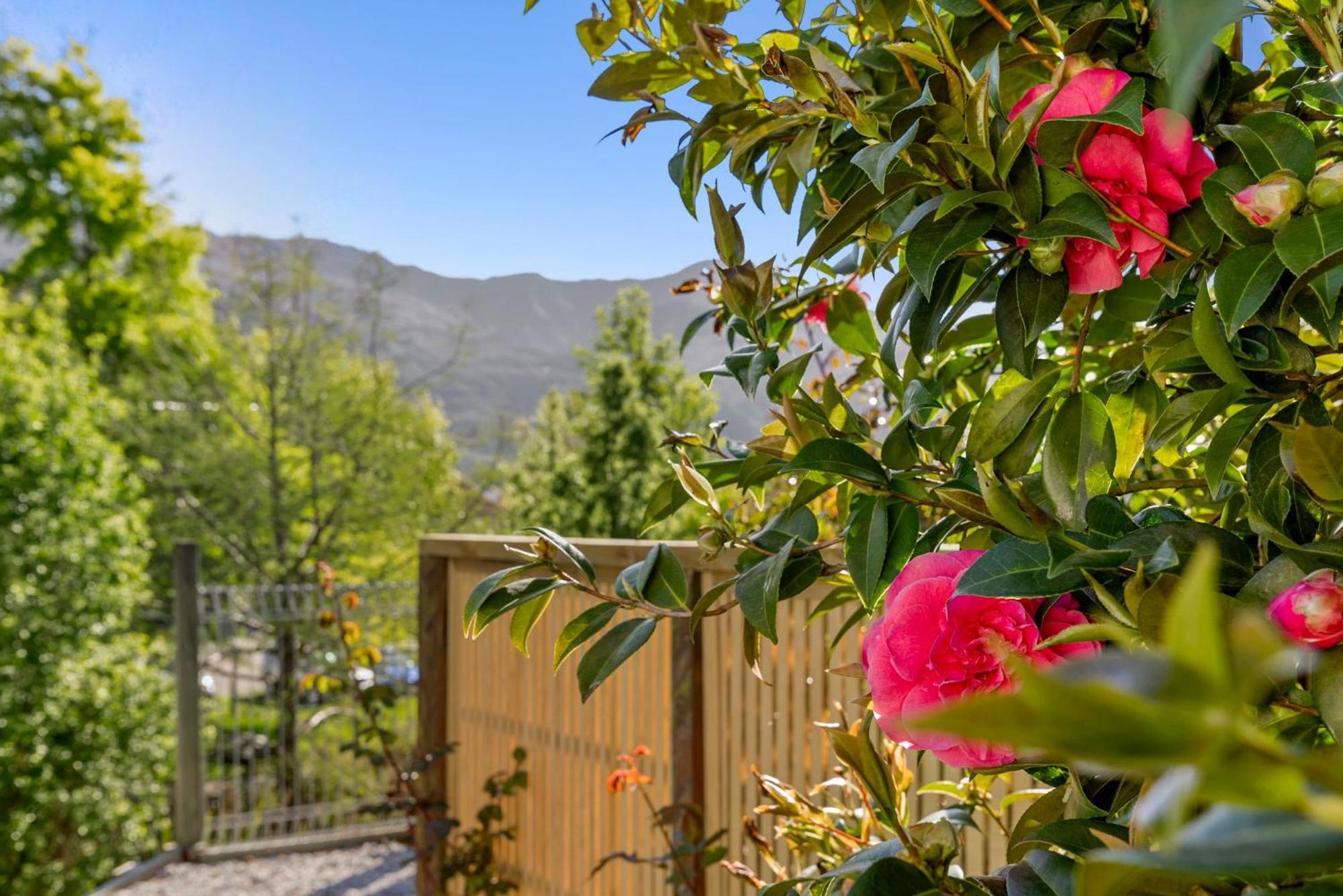 Asure Brookvale Motel Wanaka Exteriér fotografie